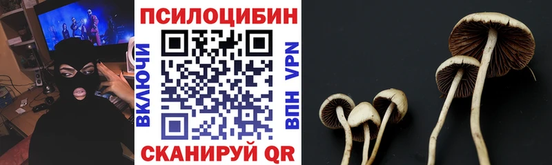 цены   мега зеркало  Галлюциногенные грибы мухоморы  Выборг 