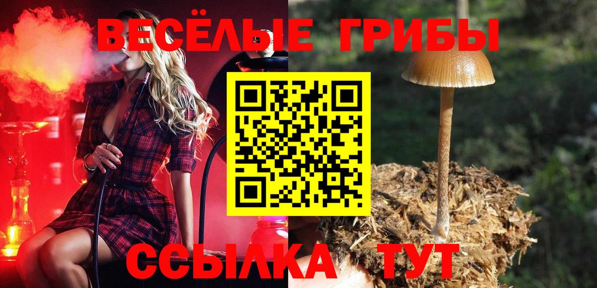 Выборг  Галлюциногенные грибы мицелий  Вход с VPN 